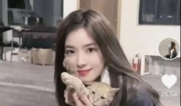 千万女网红吃瓜视频网站,热门视频网站背后的故事