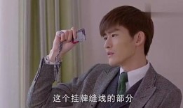 娱乐吃瓜酱霸道总裁,霸道总裁的娱乐吃瓜日常